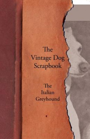 Carte Vintage Dog Scrapbook - The Italian Greyhound Various