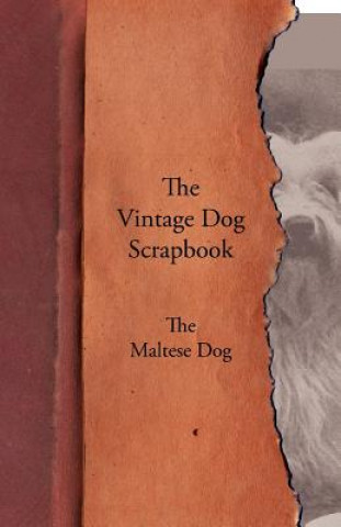 Kniha Vintage Dog Scrapbook - The Maltese Various