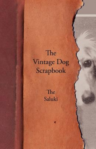 Carte Vintage Dog Scrapbook - The Saluki Various