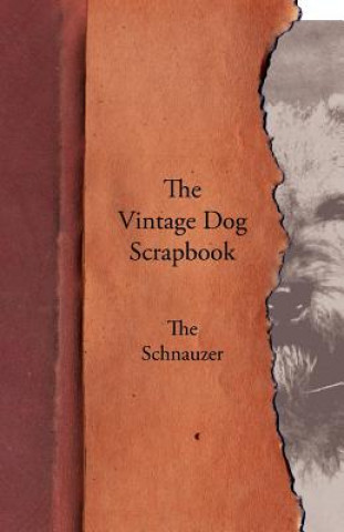 Kniha Vintage Dog Scrapbook - The Schnauzer Various