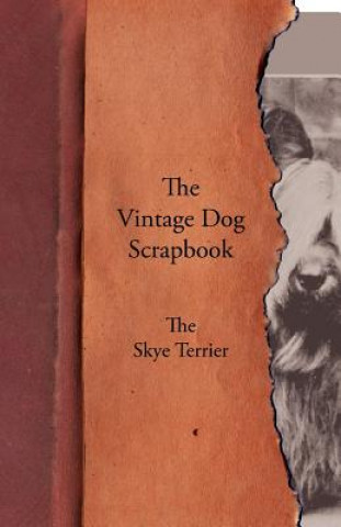 Livre Vintage Dog Scrapbook - The Skye Terrier Various