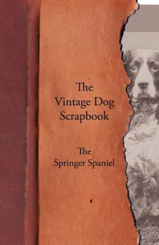 Buch Vintage Dog Scrapbook - The Springer Spaniel Various