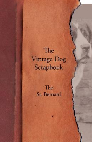 Könyv Vintage Dog Scrapbook - The St. Bernard Various