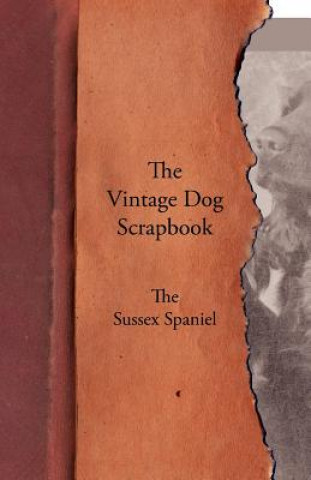 Könyv Vintage Dog Scrapbook - The Sussex Spaniel Various