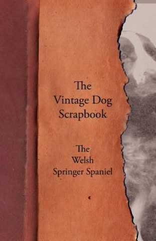 Carte Vintage Dog Scrapbook - The Welsh Springer Spaniel Various