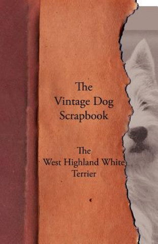 Kniha Vintage Dog Scrapbook - The West Highland White Terrier Various