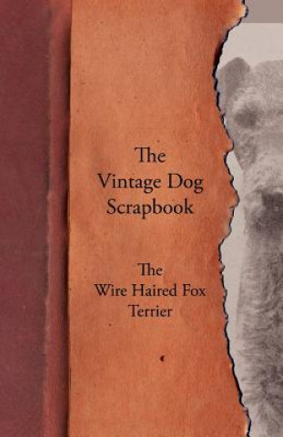 Книга Vintage Dog Scrapbook - The Wire Haired Fox Terrier Various