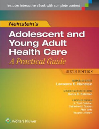 Könyv Neinstein's Adolescent and Young Adult Health Care Lawrence Neinstein