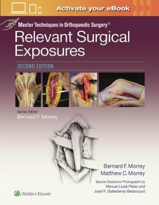 Kniha Master Techniques in Orthopaedic Surgery: Relevant Surgical Exposures Bernard F. Morrey