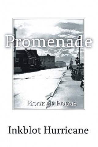 Книга Promenade Inkblot Hurricane