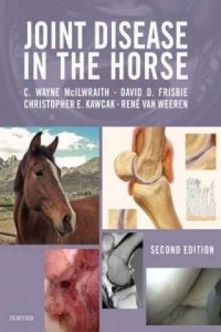 Könyv Joint Disease in the Horse Rene Van Weeren