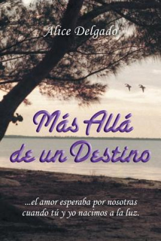 Buch Mas alla de un destino Alice Delgado