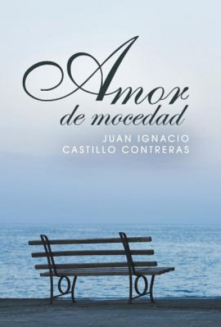 Kniha Amor de mocedad Juan Ignacio Castillo Contreras