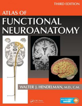 Kniha Atlas of Functional Neuroanatomy Hendelman M D