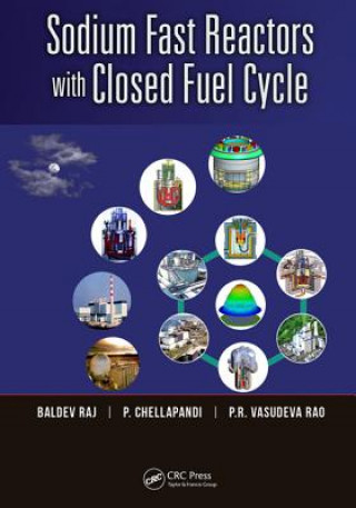 Knjiga Sodium Fast Reactors with Closed Fuel Cycle P R Vasudeva Rao