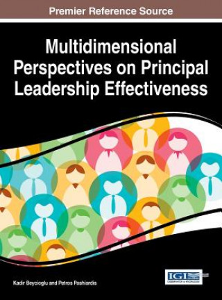 Книга Multidimensional Perspectives on Principal Leadership Effectiveness Kadir Beycioglu