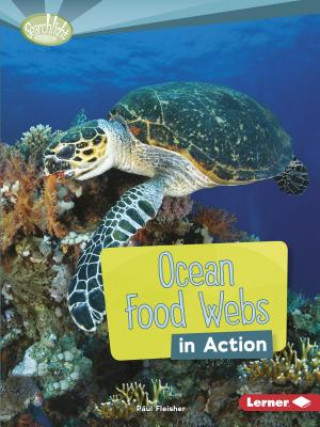 Könyv Ocean Food Webs in Action Paul Fleisher