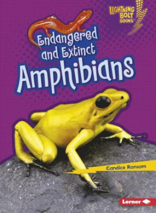 Buch Endangered and Extinct Amphibians Candice F Ransom