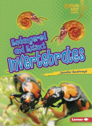 Kniha Endangered and Extinct Invertebrates Jennifer Boothroyd