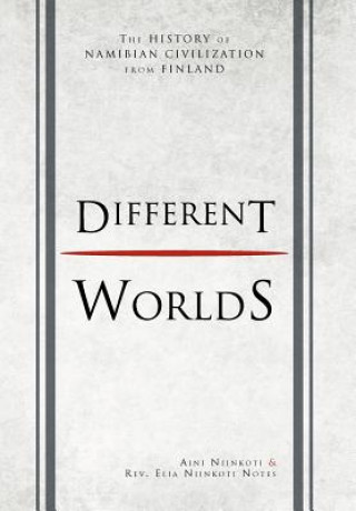 Knjiga Different Worlds Aini Niinkoti