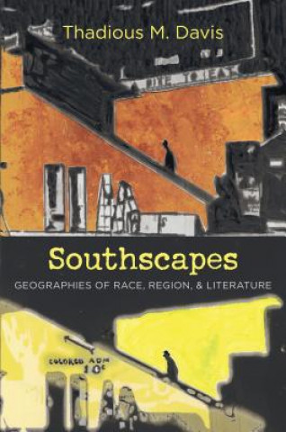 Kniha Southscapes Thadious M. Davis