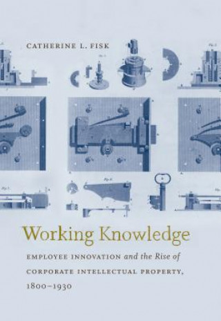 Kniha Working Knowledge Catherine L Fisk