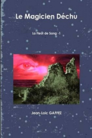 Livre Magicien Dechu Jean-Loic GAFFEZ