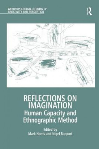 Kniha Reflections on Imagination MARK HARRIS