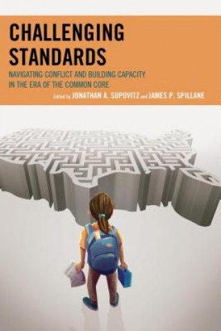Kniha Challenging Standards James P. Spillane