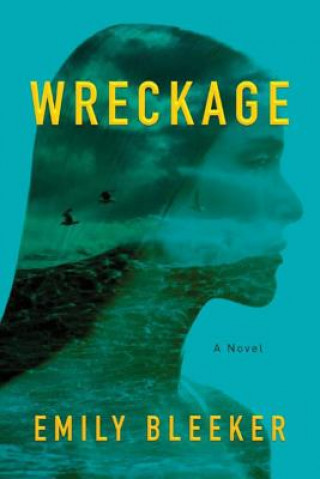 Könyv Wreckage EMILY BLEEKER