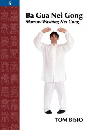 Kniha Ba Gua Nei Gong, Volume 6 Tom Bisio