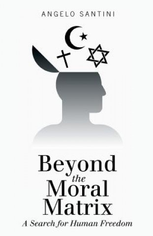 Buch Beyond the Moral Matrix Angelo Santini