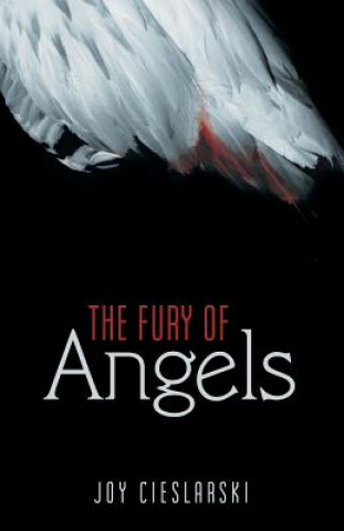 Book Fury of Angels Joy Cieslarski