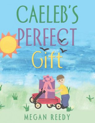 Book Caeleb's Perfect Gift Megan Reedy