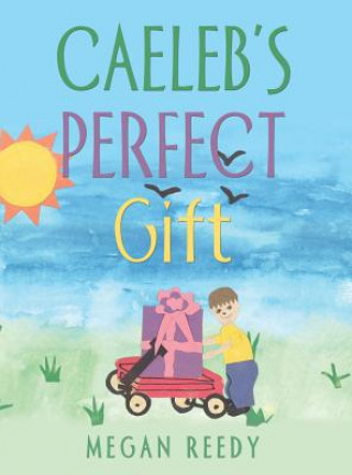 Book Caeleb's Perfect Gift Megan Reedy
