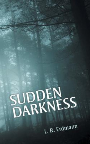 Book Sudden Darkness L R Erdmann