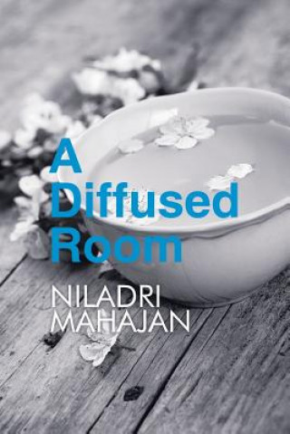 Knjiga Diffused Room Niladri Mahajan
