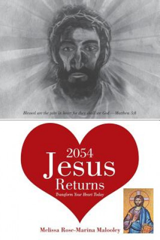 Kniha 2054-Jesus Returns Melissa Malooley