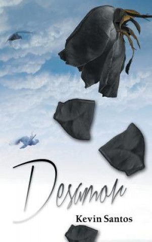 Boek Desamor Kevin Santos