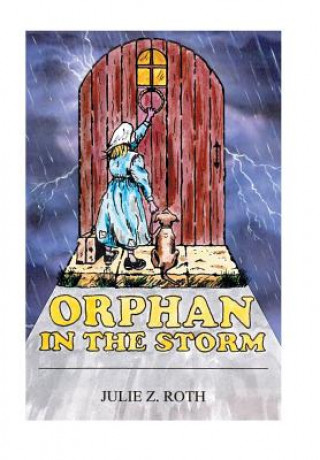 Könyv Orphan in the Storm Julie Z Roth
