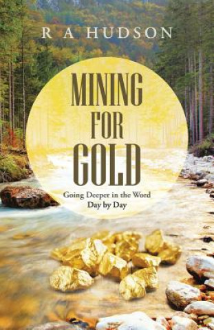 Книга Mining for Gold R a Hudson