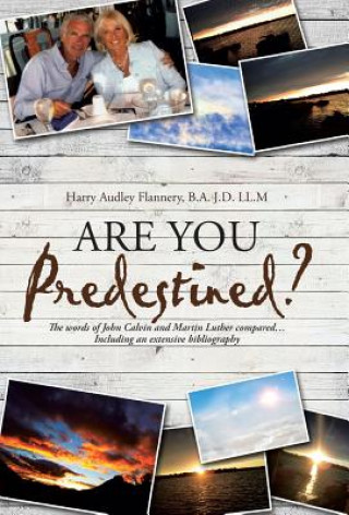 Book Are You Predestined? Flannery