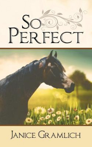 Kniha So Perfect Janice Gramlich