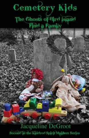 Carte Cemetery Kids the Ghosts of Bird Island Find a Family Jacqueline DeGroot