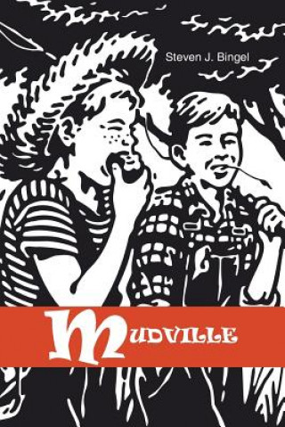 Knjiga Mudville Steven J Bingel