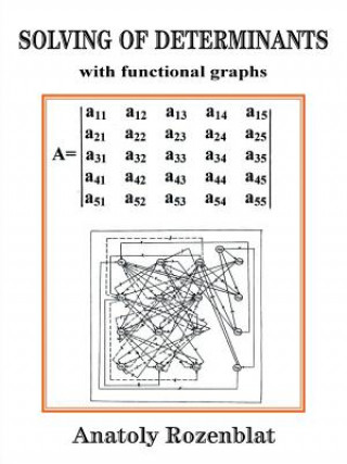 Könyv Solving of Determinants with Functional Graphs Anatoly Rozenblat