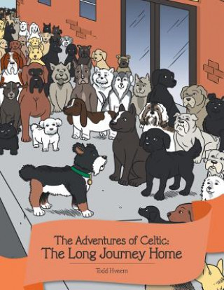 Buch Adventures of Celtic Todd Hveem