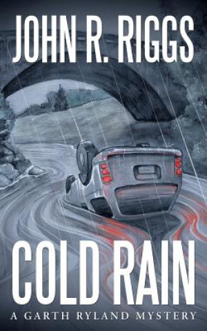 Könyv Cold Rain John R Riggs