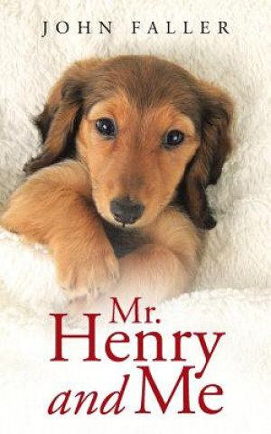 Könyv Mr. Henry and Me John Faller