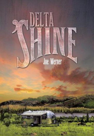 Buch Delta 'Shine Joe Werner